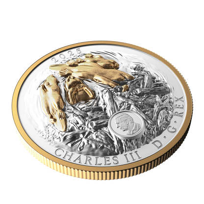 2025 $50 50mm 9999Ag - Beaver (Double EHR)