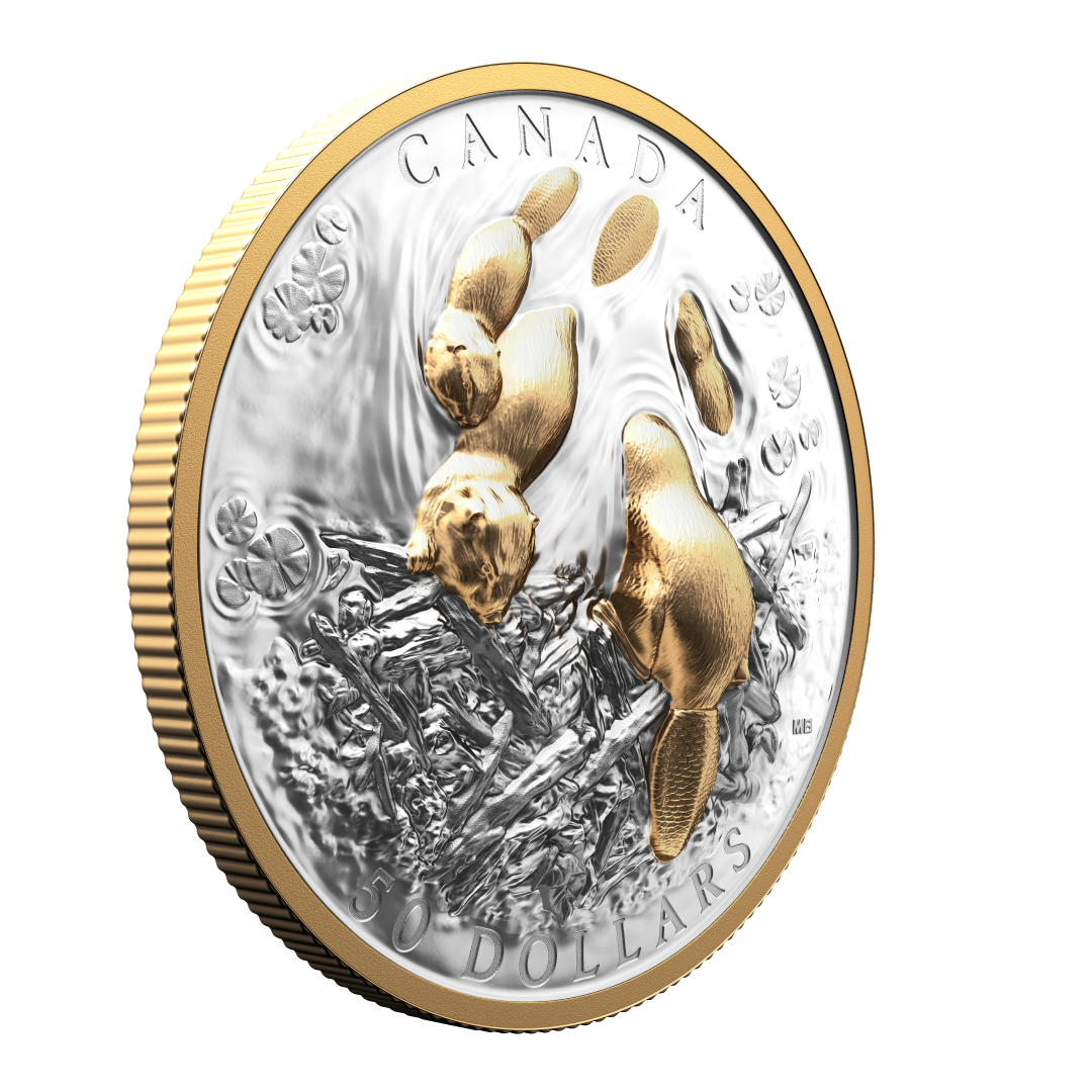 2025 $50 50mm 9999Ag - Beaver (Double EHR)