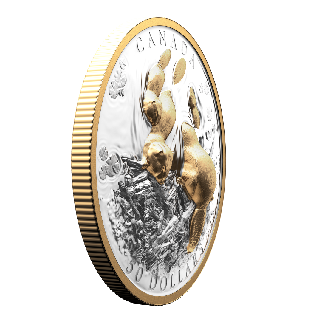 2025 $50 50mm 9999Ag - Beaver (Double EHR)