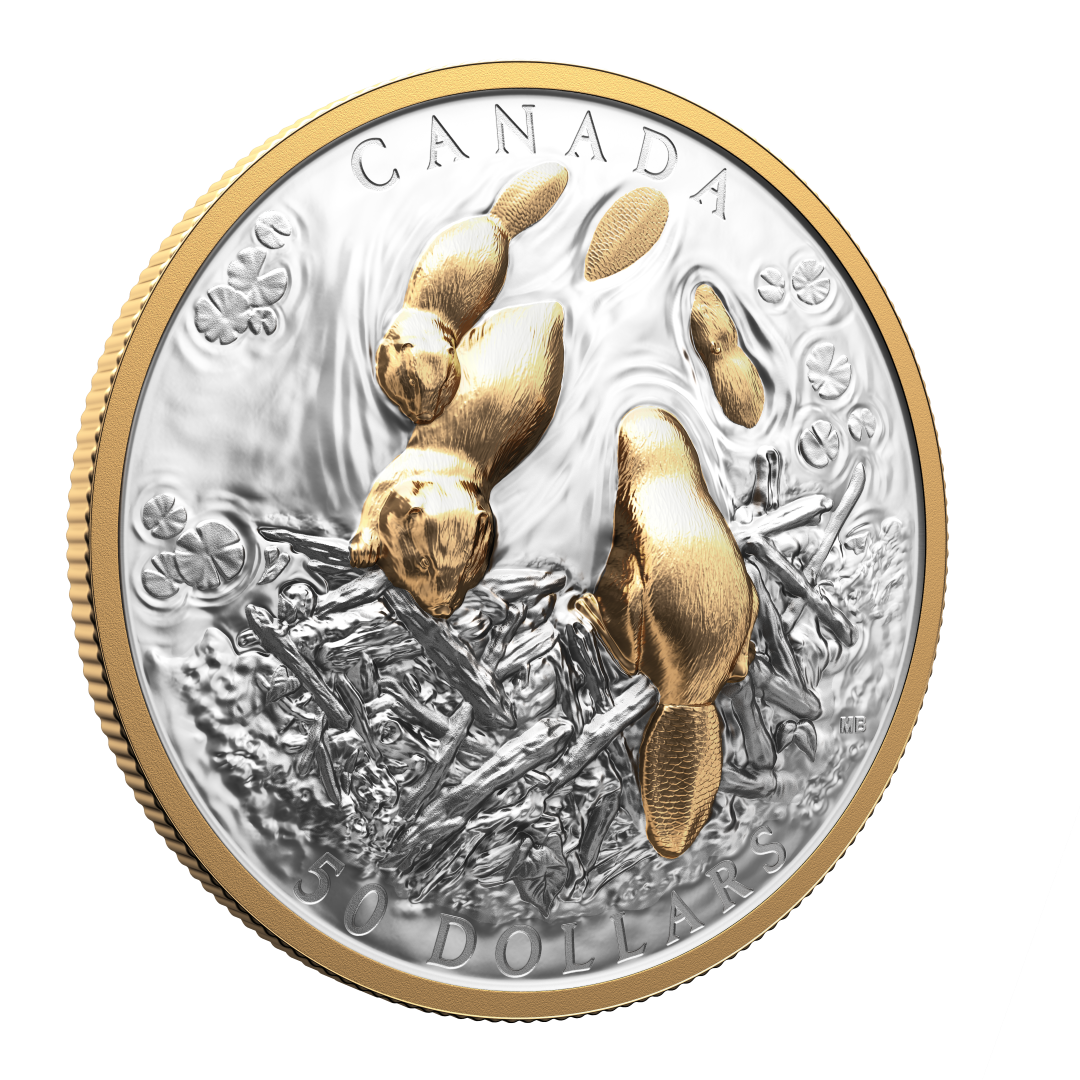2025 $50 50mm 9999Ag - Beaver (Double EHR) (250902)