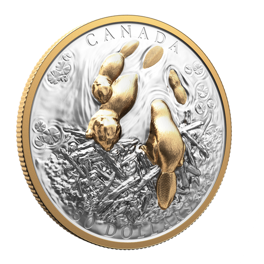 2025 $50 50mm 9999Ag - Beaver (Double EHR) (250902)