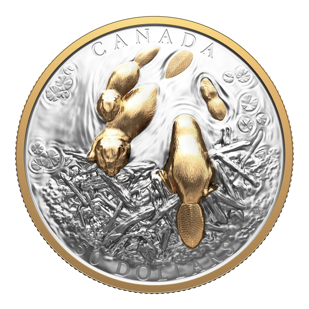 2025 $50 50mm 9999Ag - Beaver (Double EHR)