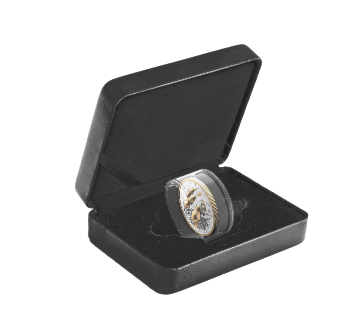 2025 $50 50mm 9999Ag - Beaver (Double EHR)