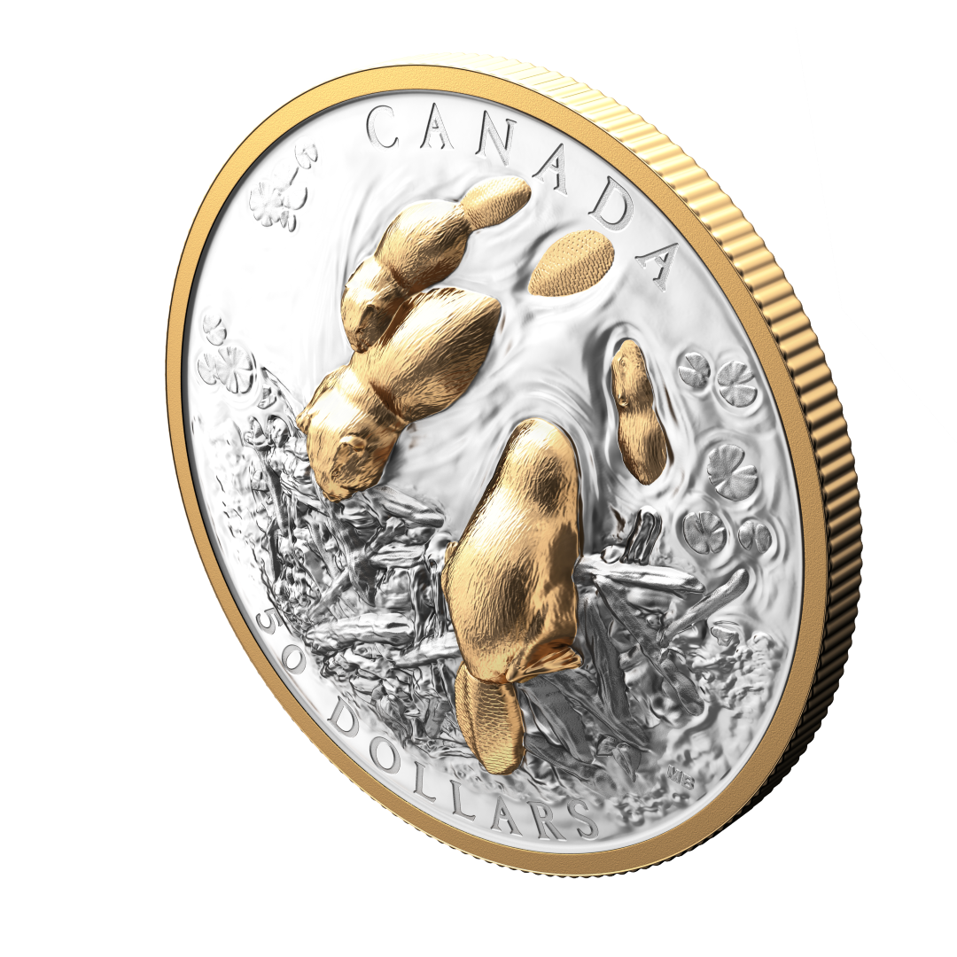 2025 $50 50mm 9999Ag - Beaver (Double EHR) (250902)
