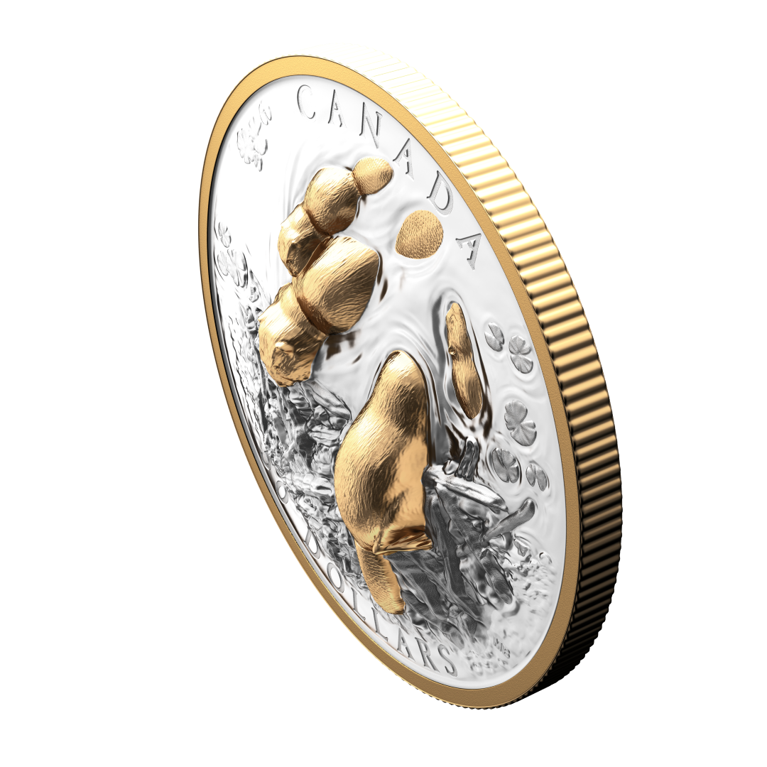 2025 $50 50mm 9999Ag - Beaver (Double EHR)