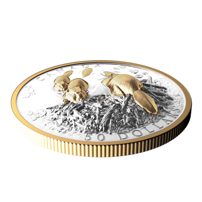 2025 $50 50mm 9999Ag - Beaver (Double EHR)