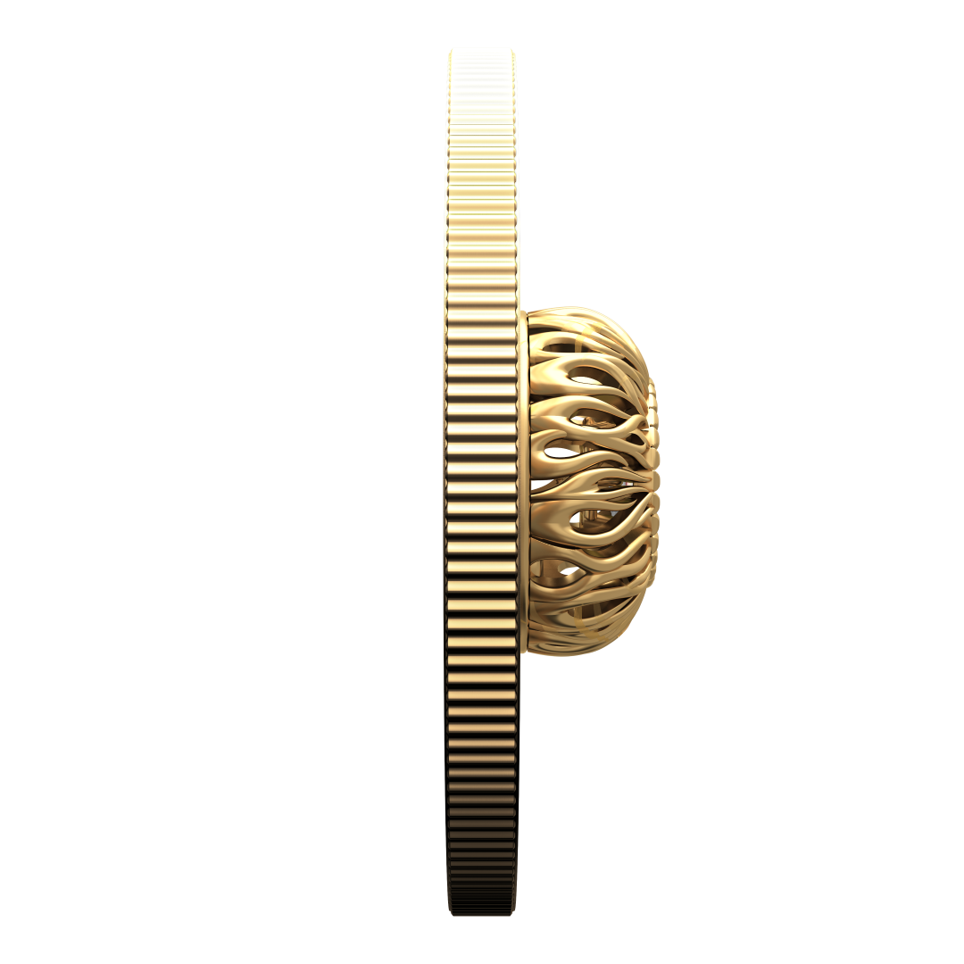 2026 Pure Silver Coin 20$ Dancing Ammolite - Elements of Nature - Fire (252906)