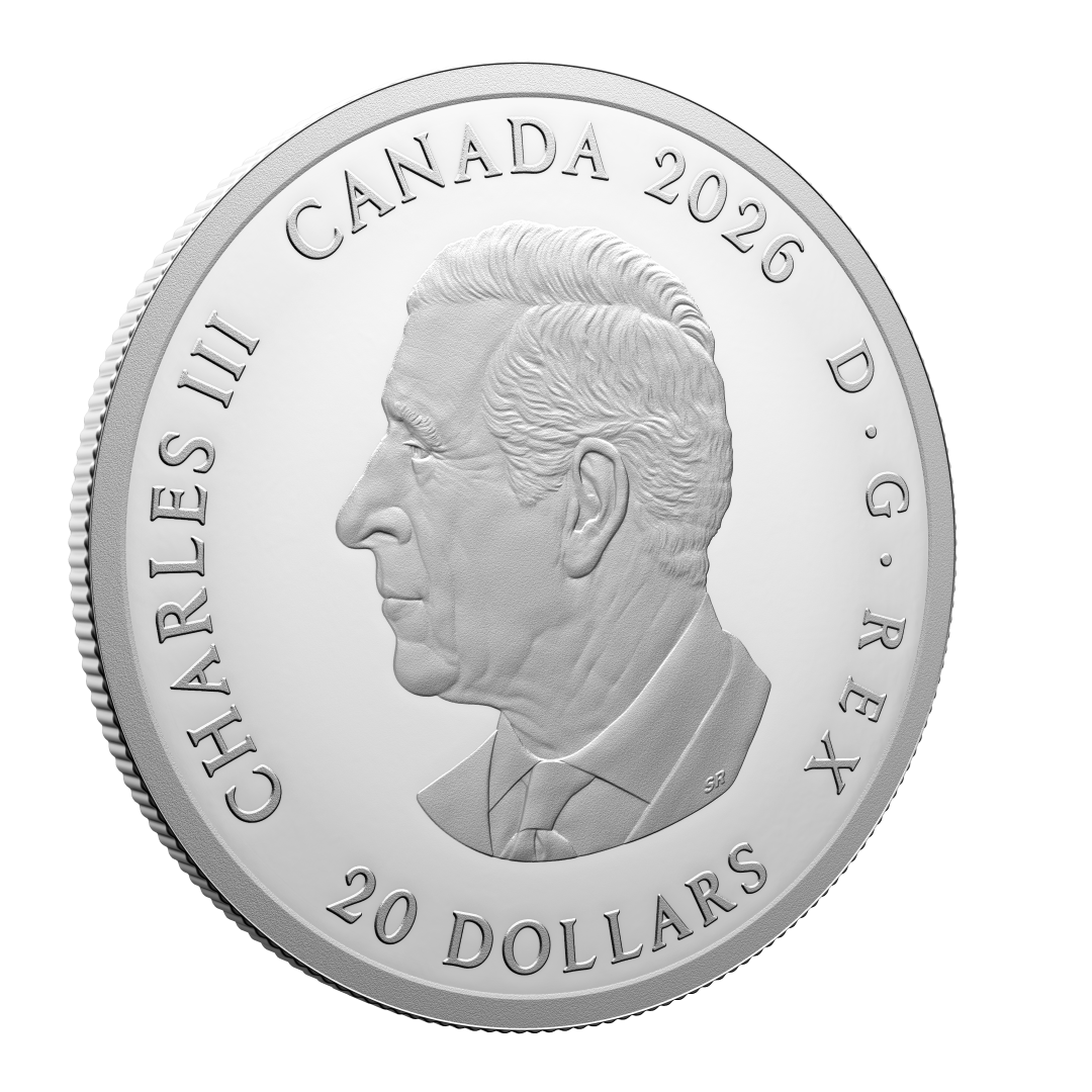 2026 $20 Fine Silver Coin FIFA World Cup 2026 The Winning Goal (253195 ...
