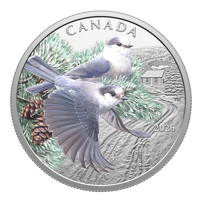 $20 1 oz Fine Silver Coin Colourful Birds: Canada Jays 2026 (253808)