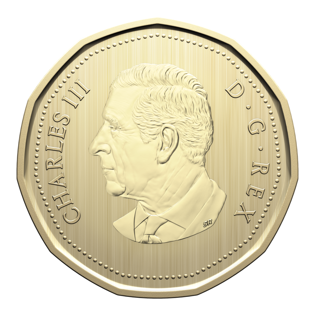 2026 Specimen Set Conservation Stories - Barn Owl (252409)