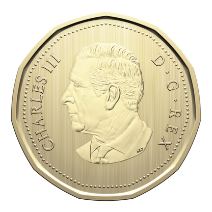 2026 Specimen Set Conservation Stories - Barn Owl (252409)