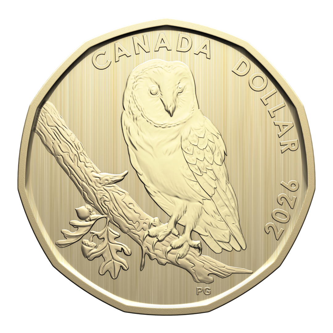 2026 Specimen Set Conservation Stories - Barn Owl (252409)