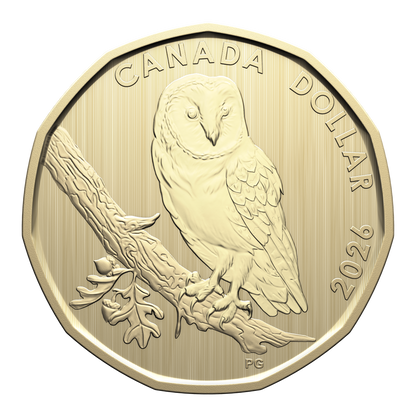 2026 Specimen Set Conservation Stories - Barn Owl (252409)