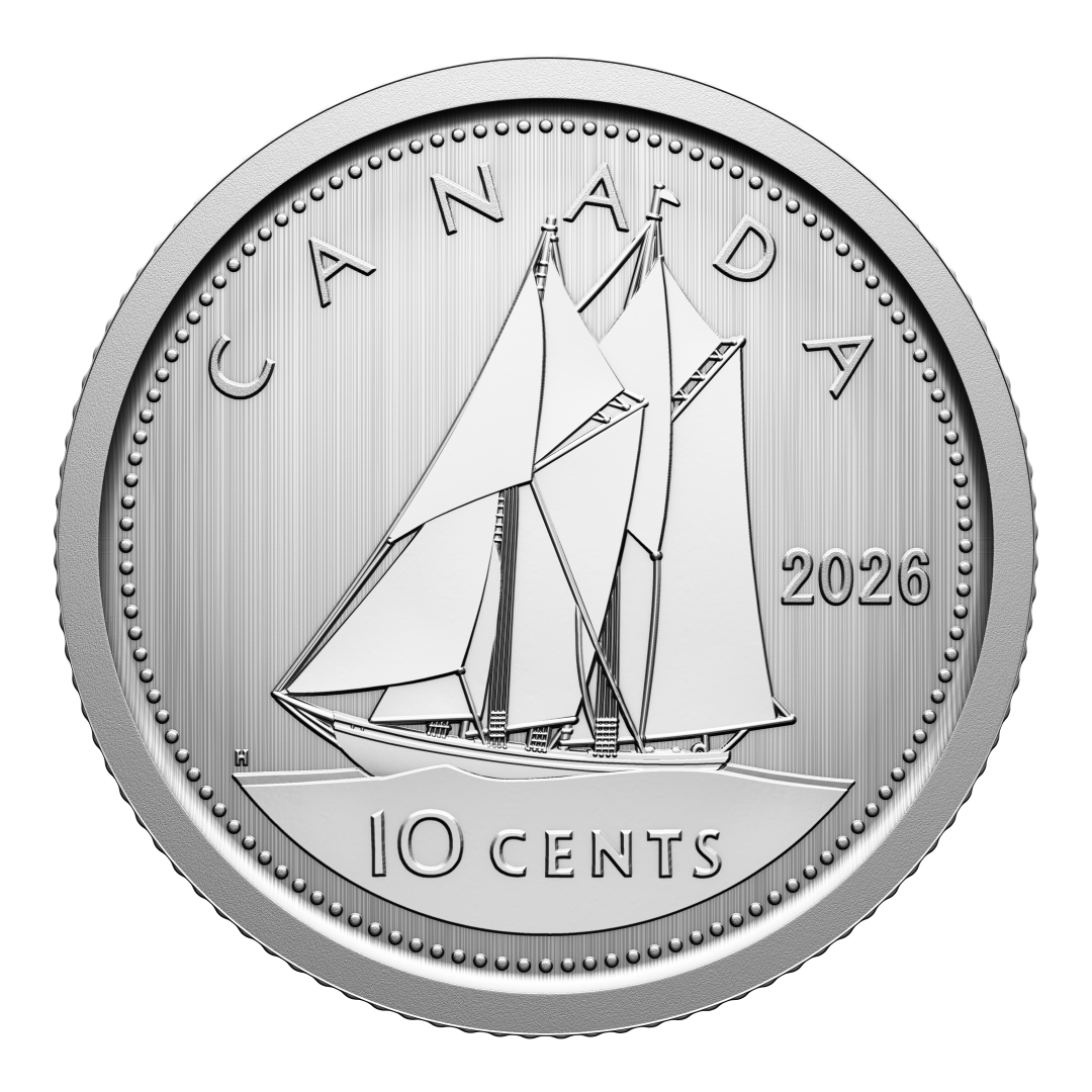 2026 Specimen Set Conservation Stories - Barn Owl (252409)