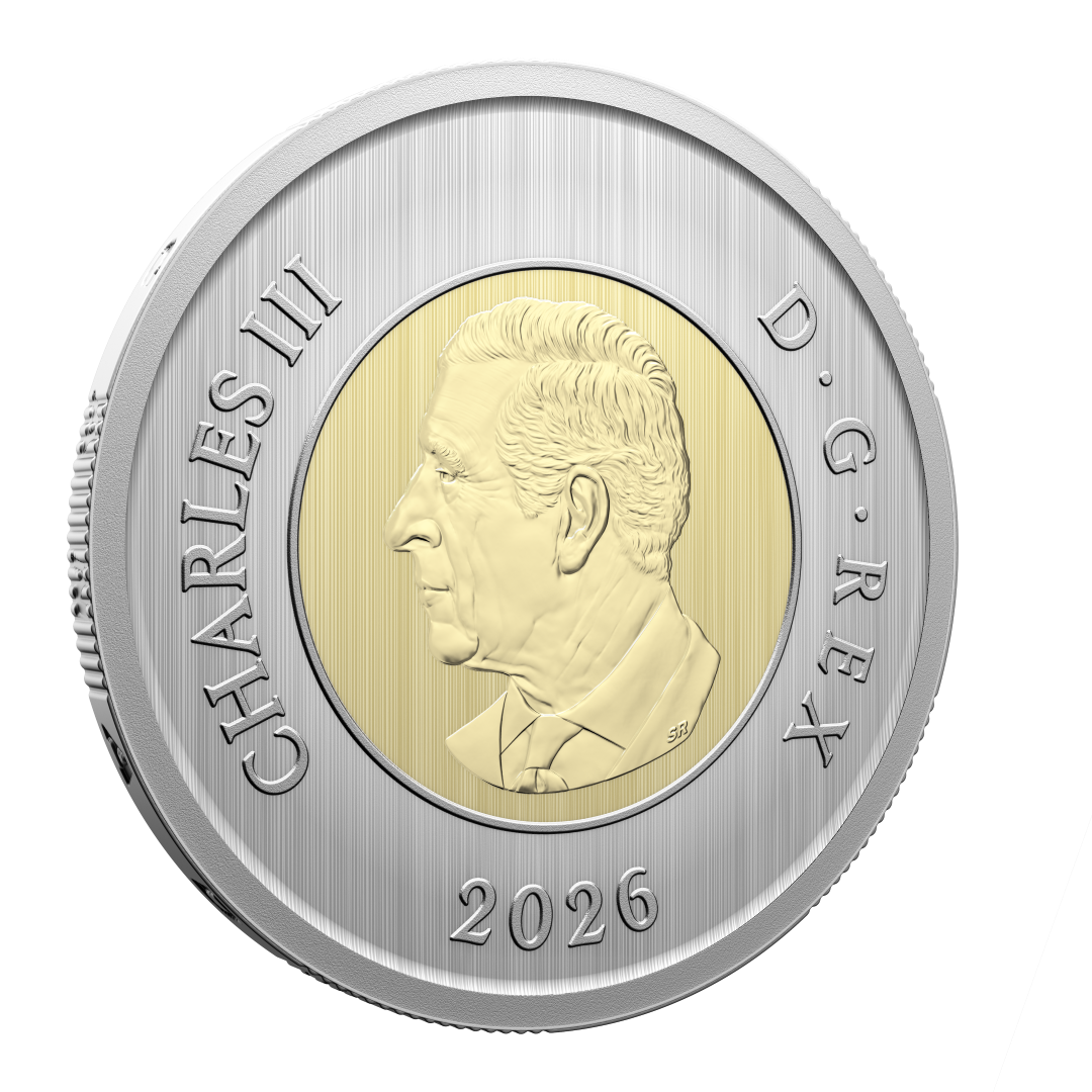 2026 Specimen Set Conservation Stories - Barn Owl (252409)