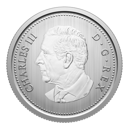 2026 Specimen Set Conservation Stories - Barn Owl (252409)