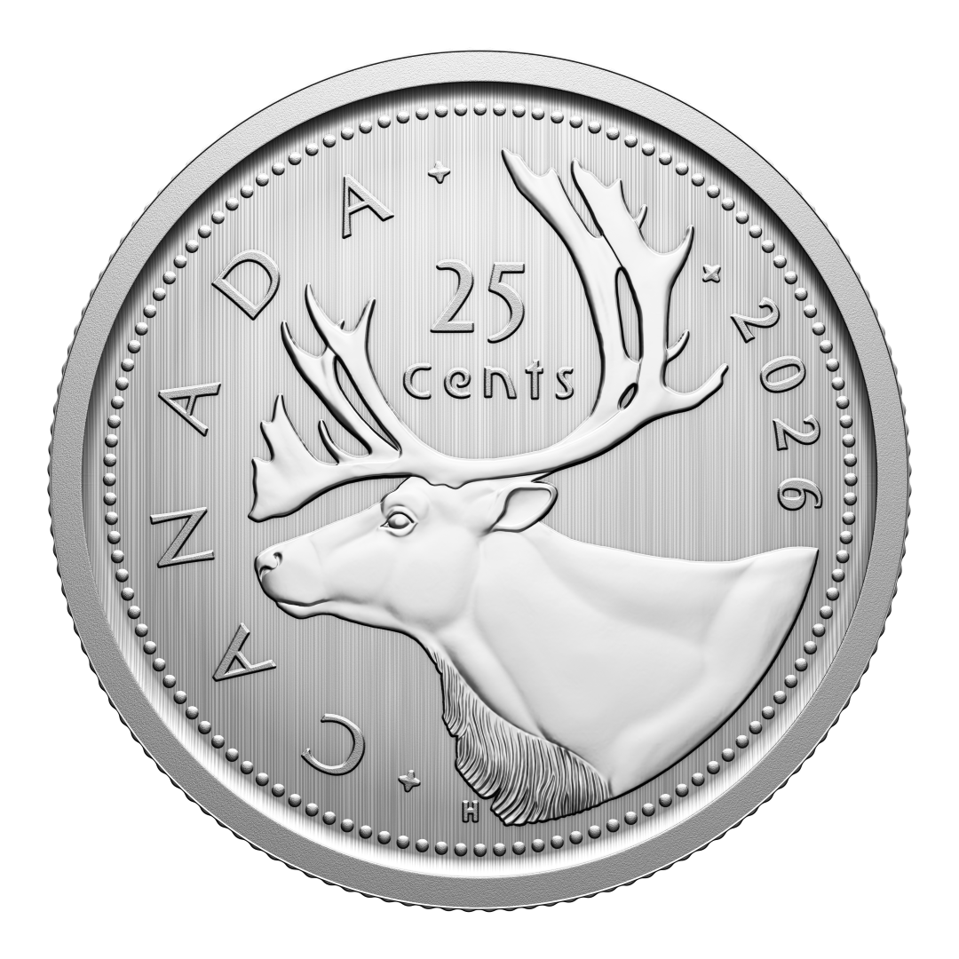 2026 Specimen Set Conservation Stories - Barn Owl (252409)