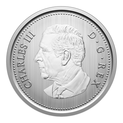 2026 Specimen Set Conservation Stories - Barn Owl (252409)