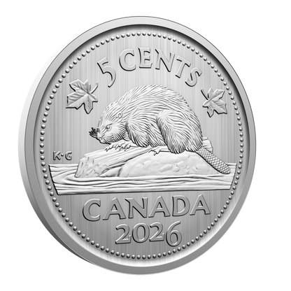 2026 Specimen Set Conservation Stories - Barn Owl (252409)