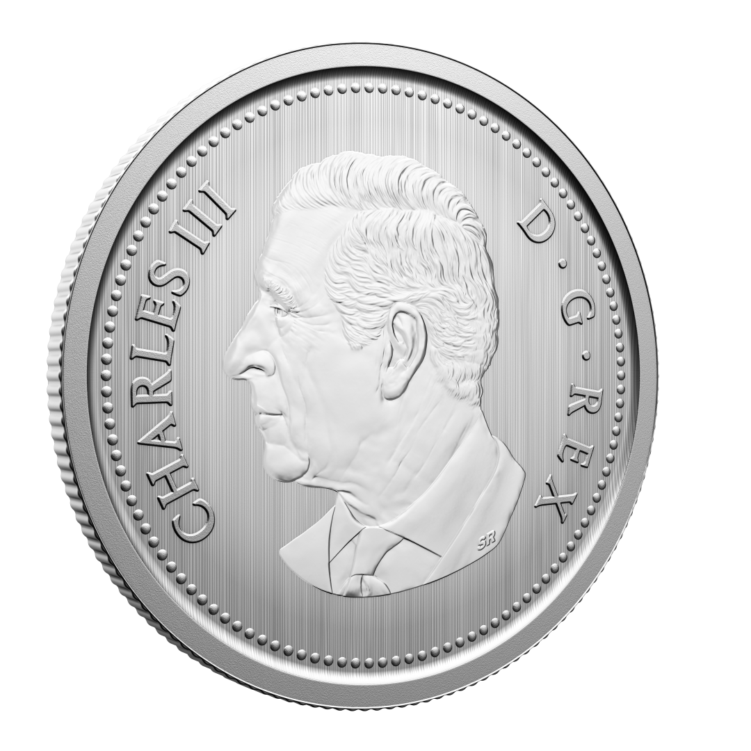 2026 Specimen Set Conservation Stories - Barn Owl (252409)