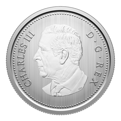 2026 Specimen Set Conservation Stories - Barn Owl (252409)