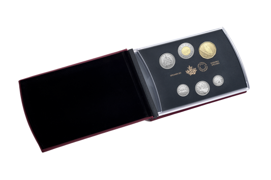 2026 Specimen Set Conservation Stories - Barn Owl (252409)