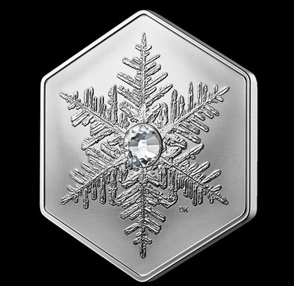 Snowflake - 1 oz. Fine Silver Coin (2023) (208897)