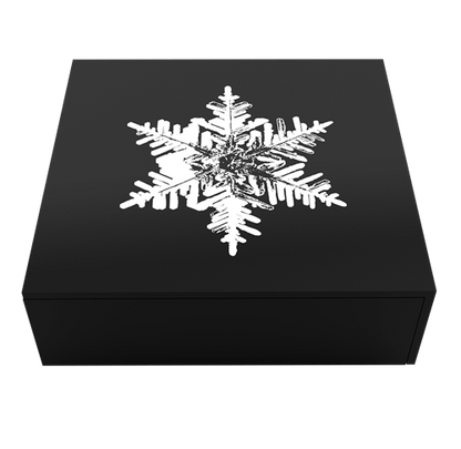 Snowflake - 1 oz. Fine Silver Coin (2023) (208897)
