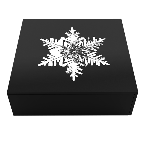 Snowflake - 1 oz. Fine Silver Coin (2023) (208897)