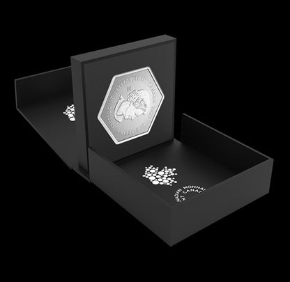 Snowflake - 1 oz. Fine Silver Coin (2023) (208897)