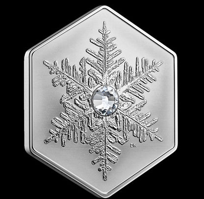 Snowflake - 1 oz. Fine Silver Coin (2023) (208897)