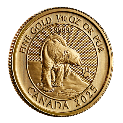 2025 The Majestic Polar Bear: First Strikes – 1/10 oz. 99.99% Pure Gold Coin (Premium Bullion)(249585)