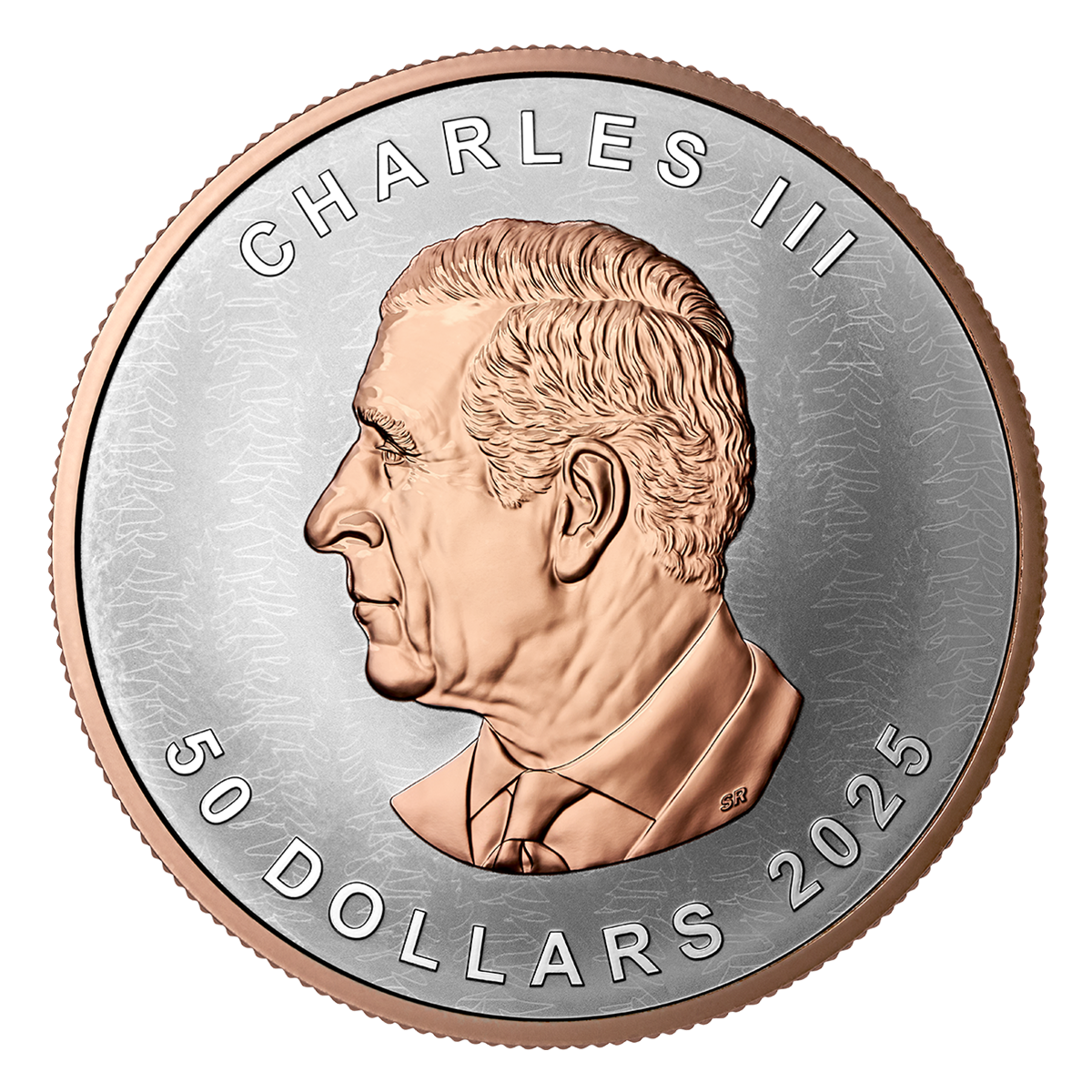 Silver Maple Leaf – 5-oz. Fine Silver Coin Ultra-High Relief Coin (2025)(250674)