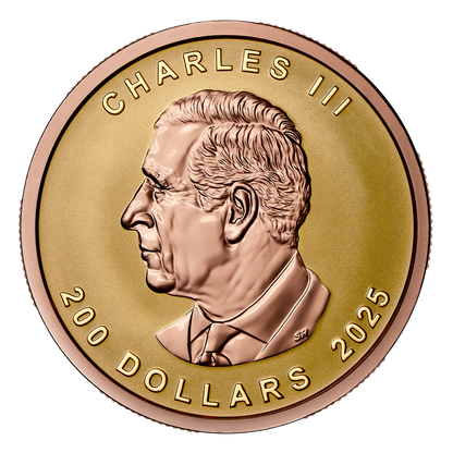 Gold Maple Leaf – Pure Gold Ultra-High Relief Coin (2025)