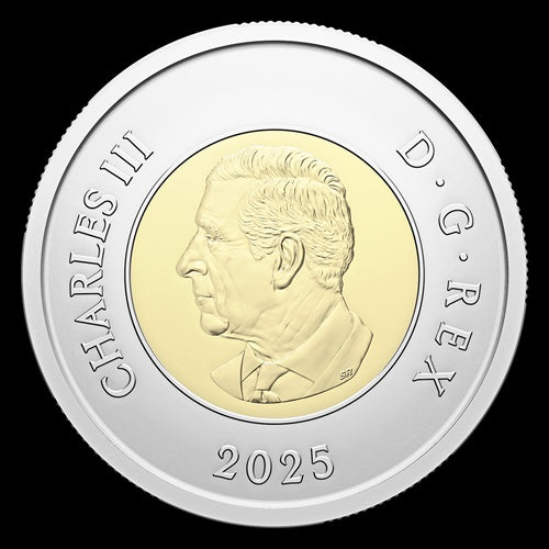 2025 Commemorative Collector Keepsake Card - Honouring Canada's Unknown Soldier (251419)