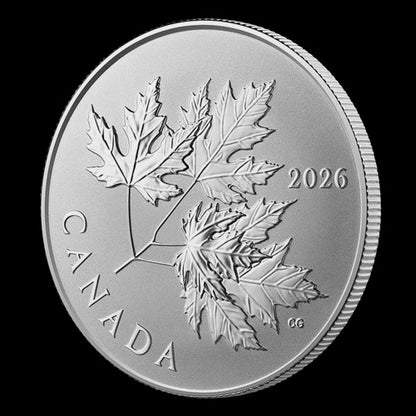 2026 $10 1/2 oz Fine Silver Coin - Gleaming Maple Leaves (251773)