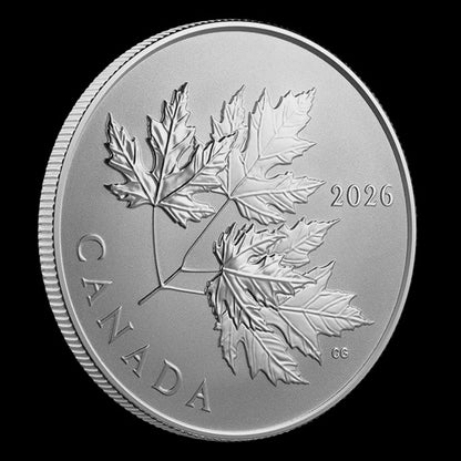 2026 $10 1/2 oz Fine Silver Coin - Gleaming Maple Leaves (251773)