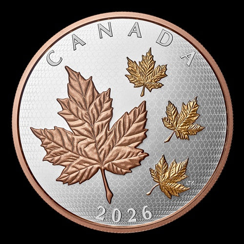 2026 $50 5 oz Fine Silver Coin Maple Leaves in Motion (251848)