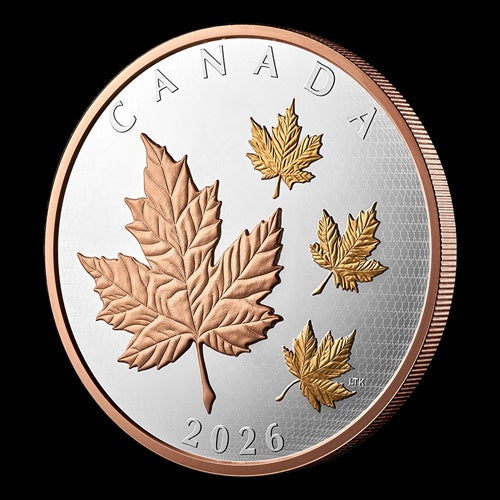 2026 $50 5 oz Fine Silver Coin Maple Leaves in Motion (251848)