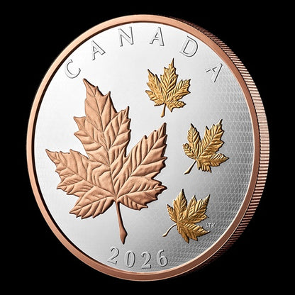 2026 $50 5 oz Fine Silver Coin Maple Leaves in Motion (251848)