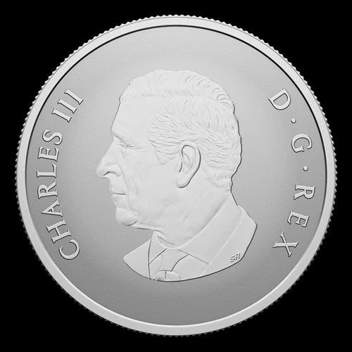 2026 10$ 1/2 oz Fine Silver Coin - Welcome to the World! (252040)