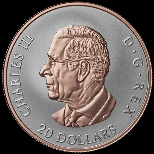2026 $20 1 oz Fine Silver Coin - Celebrate Love (252356)