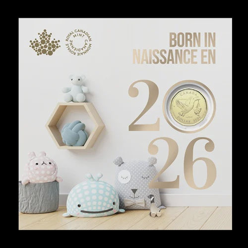 2026 Baby Gift Set (252739)