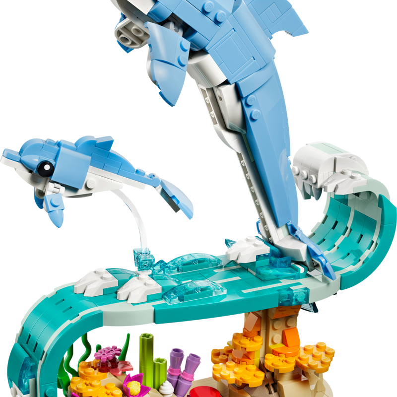 Sea Animals: Beautiful Dolphins (31385)