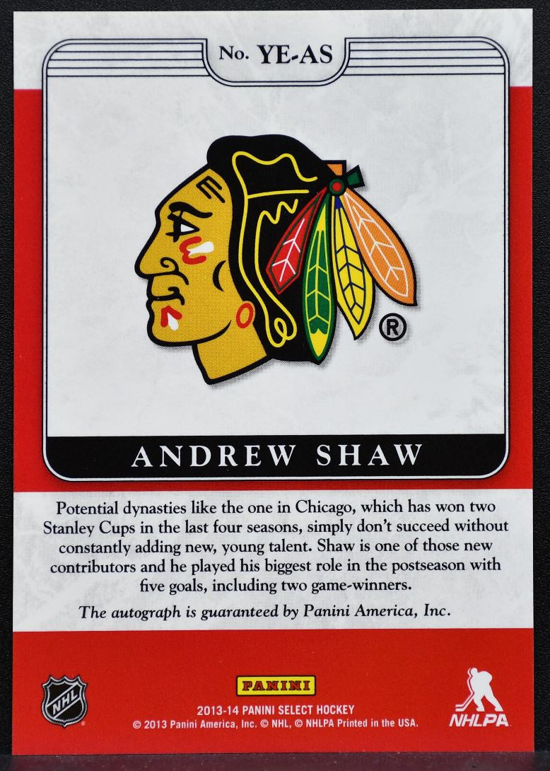 2013-14 Panini Select Youth Explosion Autographs Andrew Shaw Auto 9701