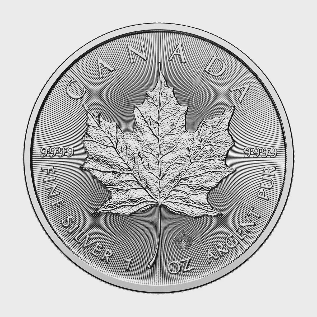 1 oz Canadian Maple Leaf Silver Coin Bullion