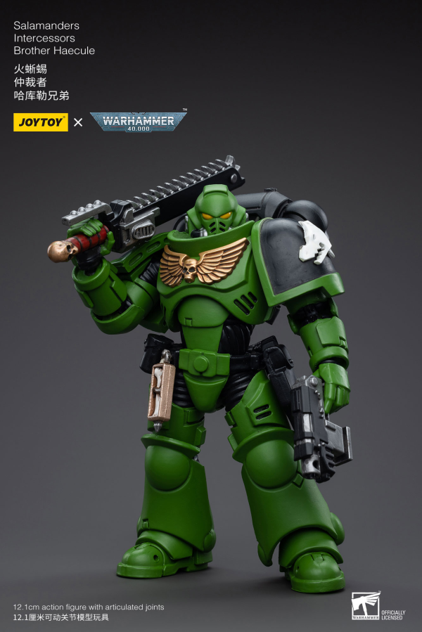 Salamanders Intercessors Brother Haecule