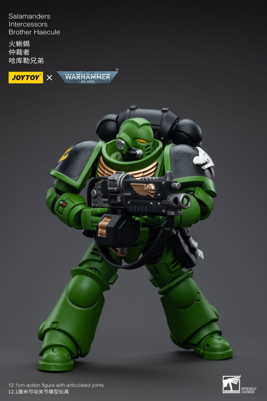 Salamanders Intercessors Brother Haecule