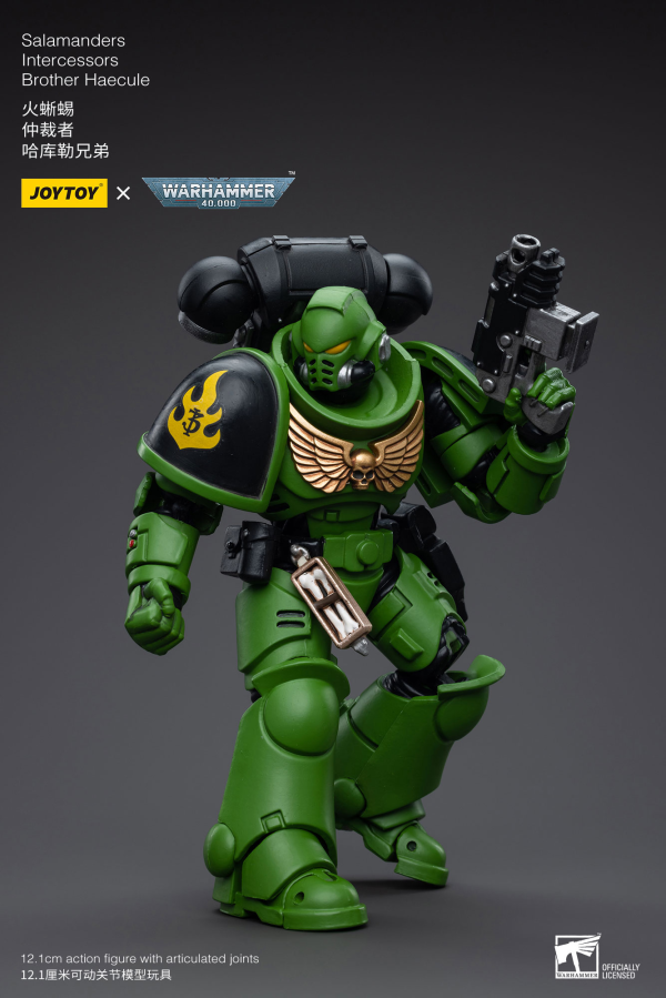 Salamanders Intercessors Brother Haecule