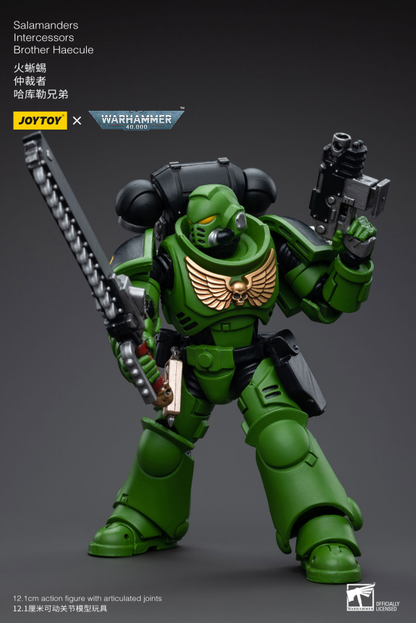 Salamanders Intercessors Brother Haecule